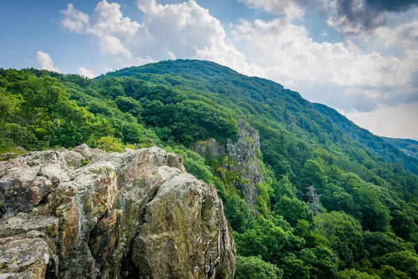 Little Stony Man Cliffs, lungo il sentiero degli Appalachi, a Shenand — Foto Stock