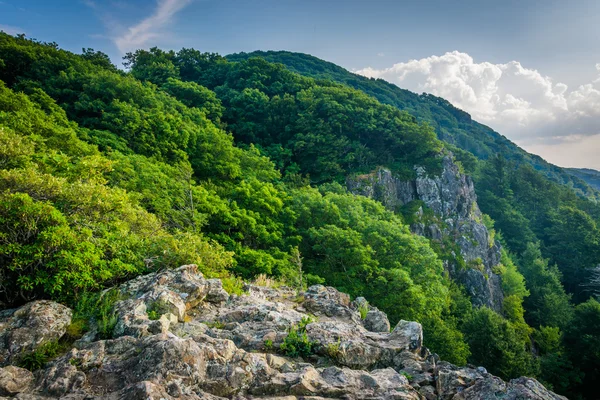 Weinig steenachtige Man kliffen langs de Appalachian Trail, in Shenando — Stockfoto