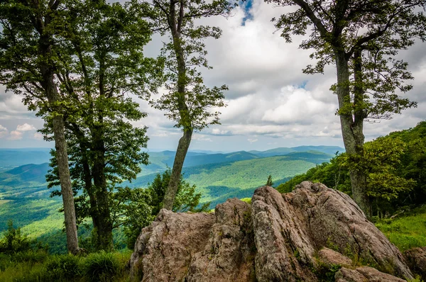 Stenar och träd vid Jewell ihåliga förbise i Shenandoah National — Stockfoto