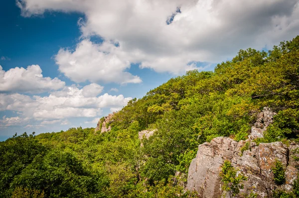 Rock outcroppings on North Marhsall Mountain, in Shenandoah Nati — Stock Photo, Image