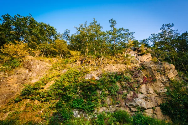 Rocky cliffs along Skyline Drive in Shenandoah National Park, Vi — Stock Photo, Image