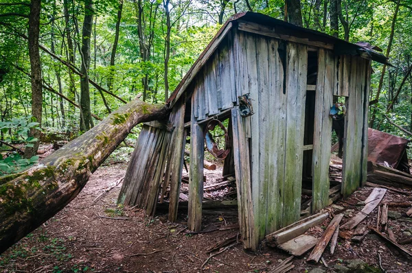 Ruines de la mission Pocosin, dans le parc national de Shenandoah, Virgi — Photo