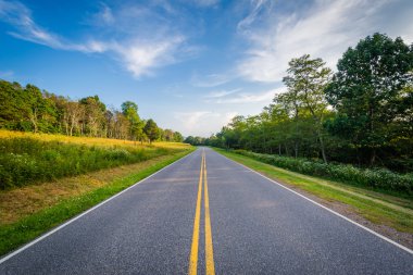 Skyline drive, shenandoah Milli Parkı, virginia.