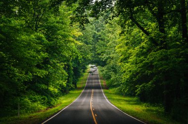 Shenandoah Ulusal p yoğun bir ormanlık alanda Skyline sürücü