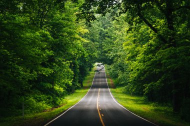 Shenandoah Ulusal p yoğun bir ormanlık alanda Skyline sürücü