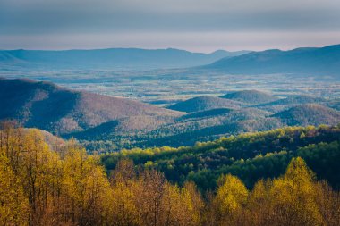 Shenandoah Vadisi üzerinden manzarası ve Blue Ridge bahar bakış