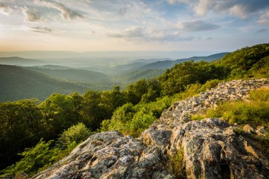 Yaz akşam görünümü Franklin Cliff üzerinden Shenandoah Vadisi