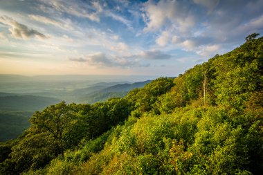 Yaz akşam görünümü Franklin Cliff üzerinden Shenandoah Vadisi