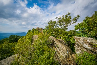 Bearfence dağın Shenandoah Nat içinde sağlam, kayalık Zirvesi