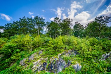 Ağaçlar ve kayalıklarla Skyline Drive, Shenandoah Ulusal par boyunca