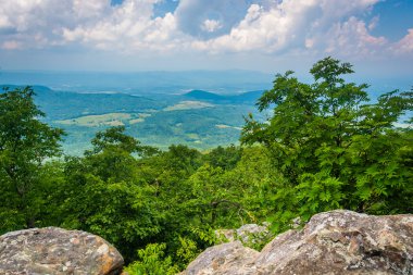 Güney marshall, appalachian iz içinde shenand boyunca gelen görüntüleme