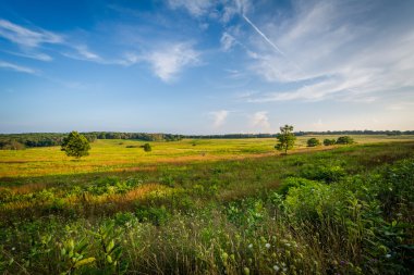 Shenandoah Milli Parkı, Virginia büyük çayırlar görünümünü.