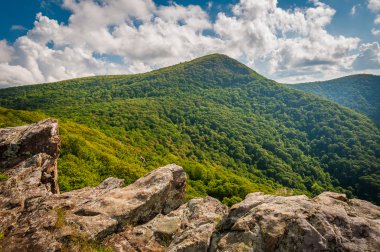 Crescent Rock'tan Hawksbill Dağı'nın görünümü, Shenandoah Nat