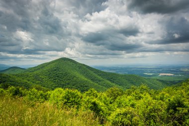 Blue Ridge Dağları ve gökten Shenandoah Vadisi görünümü