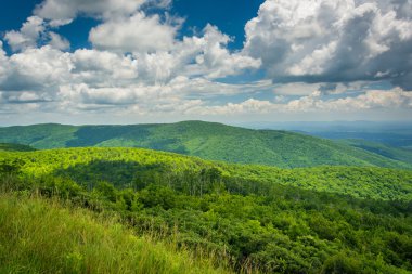 Blue Ridge Dağları ve gökten Shenandoah Vadisi görünümü