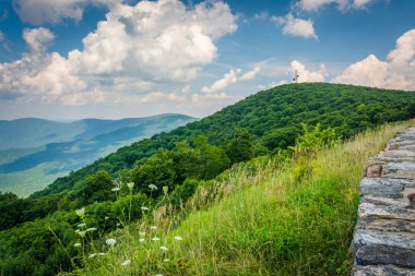 Blue Ridge Dağları ve gökten Shenandoah Vadisi görünümü