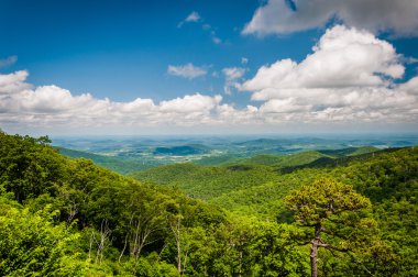 Blue Ridge dağlarının manzarası sürücüden, Shenando görünümünü