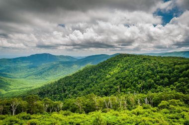 Blue Ridge dağlarının manzarası sürücüden, Shenando görünümünü