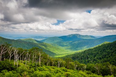 Blue Ridge dağlarının manzarası sürücüden, Shenando görünümünü