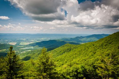 Blue Ridge dağlarının manzarası sürücüden, Shenando görünümünü