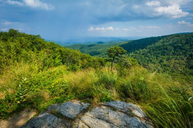 blue ridge dağlarının manzarası sürücü shenandoa içinde görünüm