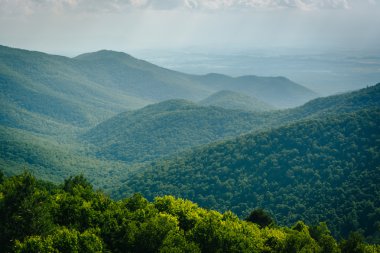 Blackrock zirvesinde, Shenandoah Nati Blue Ridge görünümünü