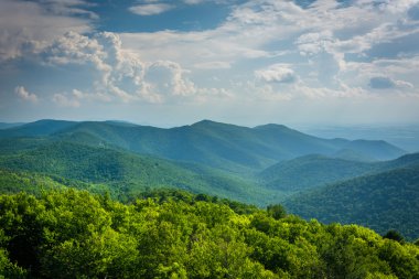 Blackrock zirvesinde, Shenandoah Nati Blue Ridge görünümünü