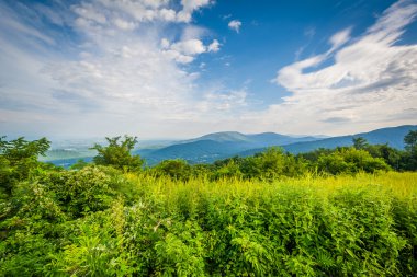 Shenandoah Vadisi ve Skyline sürücü Blue Ridge görüntüle,