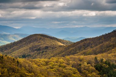 Shenandoah Nati Blue Ridge Mountains görünümünü erken Bahar