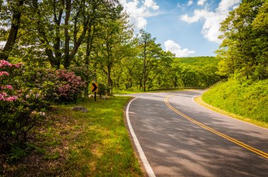 Dag defne shenandoa bir bahar gününde skyline drive boyunca