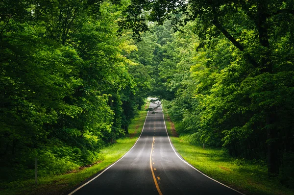 Skyline Drive, w gęsto zalesionej okolicy p Narodowego Shenandoah — Zdjęcie stockowe