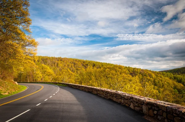 Skyline Drive and spring color in the Blue Ridge Mountains, in S — Stock Photo, Image