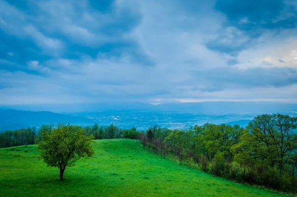 Шторм весни над долині Шенандоа і дерево на зелений hillsi — стокове фото