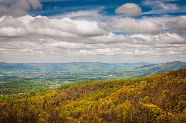 Spring van uitzicht op de Blue Ridge Mountains en de Shenandoah vallei, f — Stockfoto