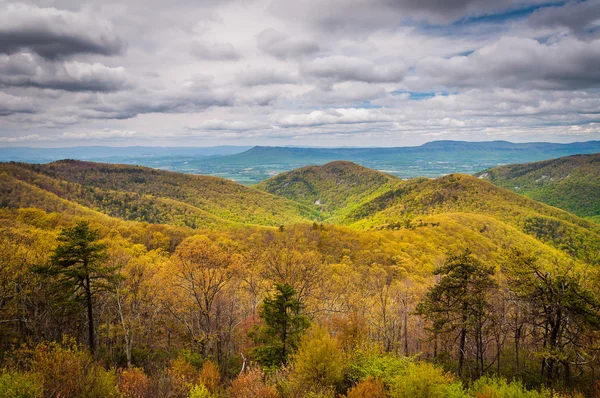 Vista primaverile delle Blue Ridge Mountains e della Shenandoah Valley, f — Foto Stock