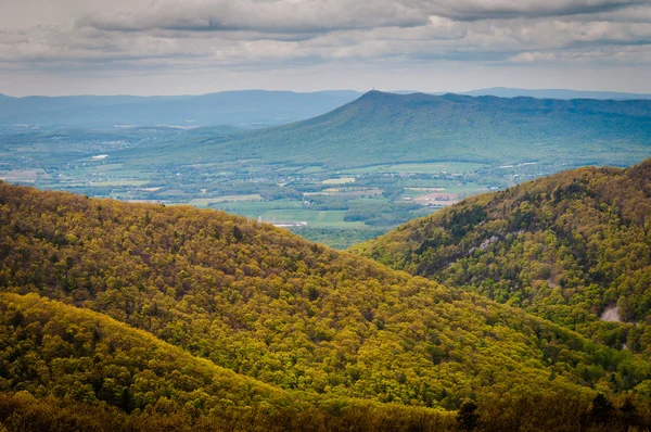 Jarní pohled na Blue Ridge hory a údolí Shenandoah, f — Stock fotografie