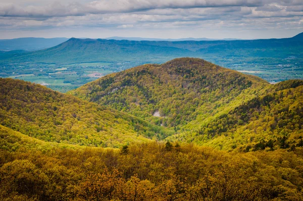 Vista da Primavera das Montanhas Blue Ridge e do Vale do Shenandoah, f — Fotografia de Stock