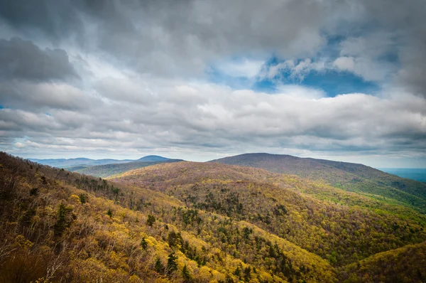 Spring van uitzicht op de Blue Ridge Mountains en de Shenandoah vallei, f — Stockfoto