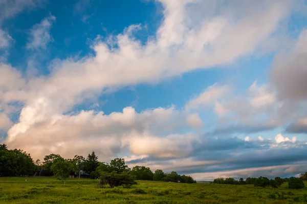 Günbatımı Shenandoah Milli Parkı, Virginia büyük çayırlar üzerinde. — Stok fotoğraf