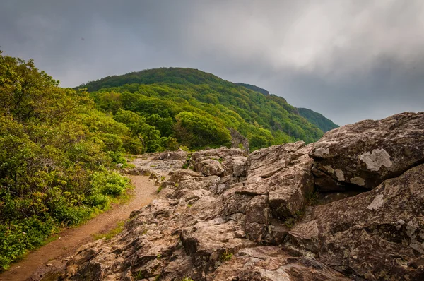 The Appalachian Trail on Little Stony Man Cliffs, in Shenandoah — Stock Photo, Image