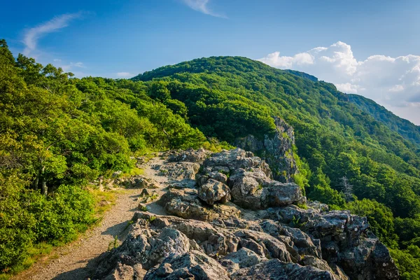 The Appalachian Trail on the summit of Little Stony Man Cliffs, — Stock Photo, Image