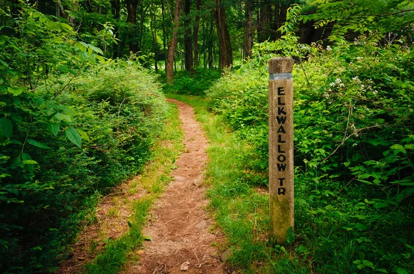 Shenandoah Milli Parkı, Virginia Elkwallow iz.