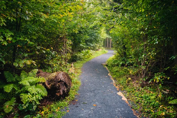 弯弯曲曲的小道，在弗吉尼亚州谢南多厄国家公园. — 图库照片