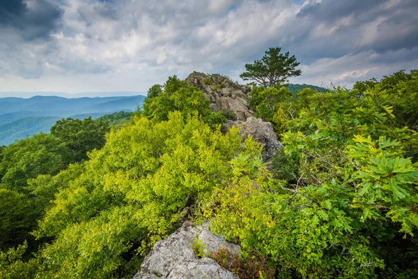 Rozeklané, skalnaté vrchol hory Bearfence v Shenandoah Nat — Stock fotografie