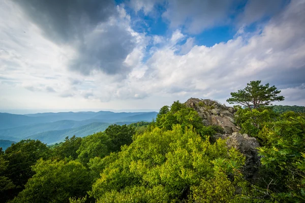 La cima rocciosa e frastagliata del monte Bearfence a Shenandoah Nat — Foto Stock