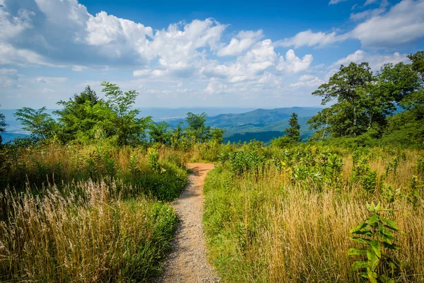 Trail bei Jewell Hollow Overview, auf Skyline Drive, in Shenandoah — Stockfoto