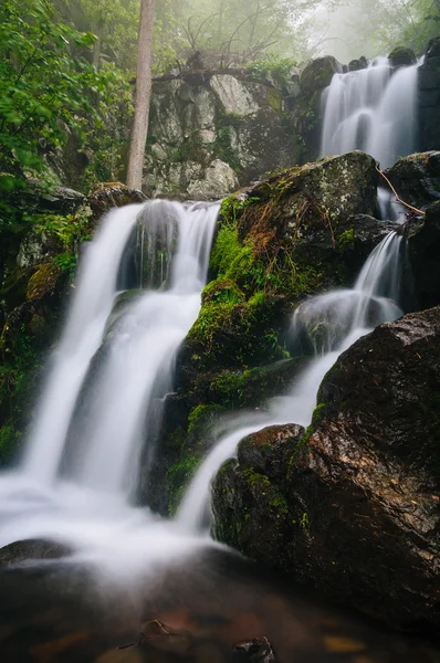 Horní Doyle řeka padá na mlhavé jarní den v Shenandoah Na — Stock fotografie