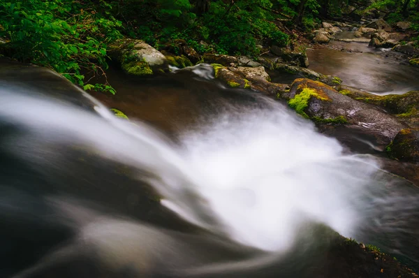 View down a small waterfall on Hogcamp Branch in Shenandoah Nati — Stock Photo, Image