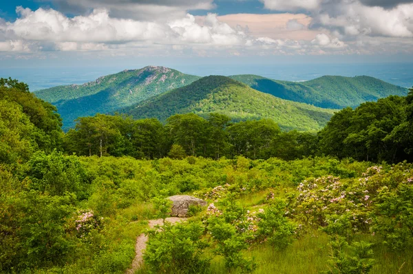 View of Old Rag Mountain from Thoroughfare Overlook, on Skyline — Stock Photo, Image