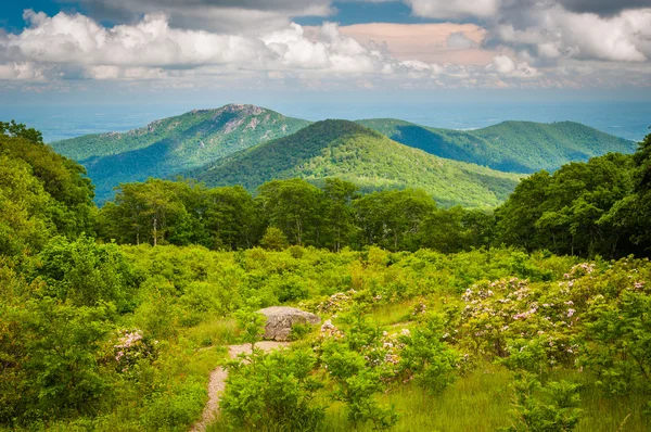 Vista da Montanha Old Rag de Thoroughfare Overlook, no Skyline — Fotografia de Stock